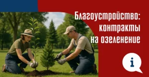 tendery-po-blagoustrojstvu-territorij-rukovodstvo-dlja-nachinajushhih